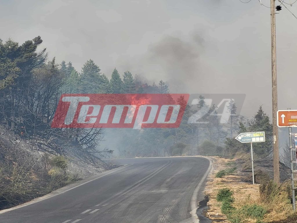 Το tempo24.news στην φωτιά στον Φενεό Κορινθίας - Ηχεί διαρκώς το 112-ΦΩΤΟ & ΒΙΝΤΕΟ