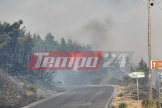 Nύχτα αγωνίας στον Φενεό Κορινθίας - To tempo24 στο πύρινο μέτωπο - ΦΩΤΟ