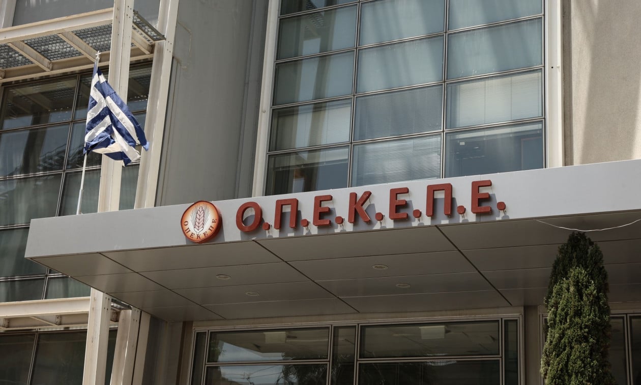 Αχαΐα, Ηλεία, Αιτωλοακαρνανία στο "στόχαστρο" της Δικαστικής Αστυνομίας για τα βοσκοτόπια - Αναζητούνται συγκεκριμένα ΑΦΜ