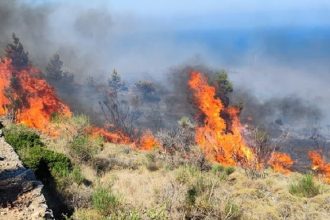 Συνελήφθη ένας άνδρας για την μεγάλη φωτιά στη Χίο