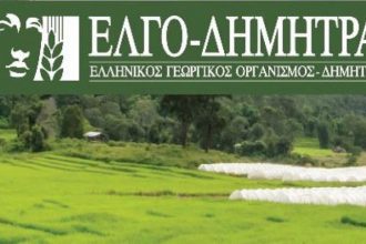 ΕΛΓΟ - ΔΗΜΗΤΡΑ: Ξεκινούν οι εγγραφές στις Σχολές τη Δευτέρα 7 Ιουλίου