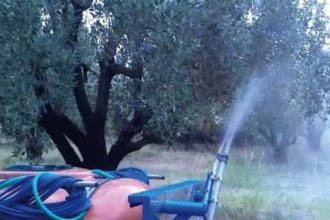 Έναρξη πρώτου γενικού ψεκασμού δακοκτονίας στους Δήμους Πατρέων και Αιγιάλειας