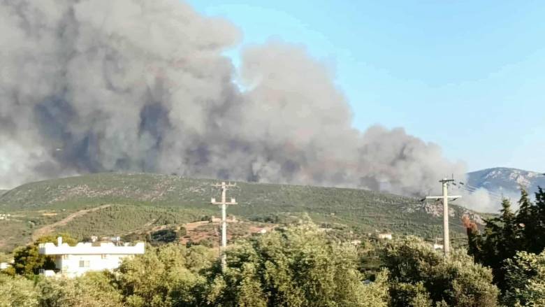 Συνελήφθη 70χρονος για τη φωτιά στον Ωρωπό