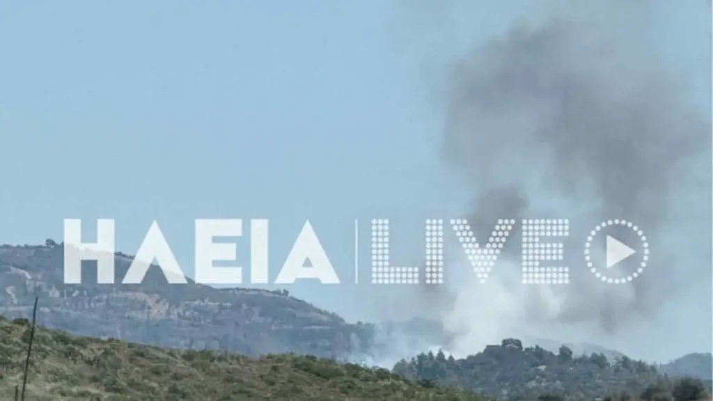 Αρχαία Ολυμπία: Υπό έλεγχο η μεγάλη πυρκαγιά στην Κάμενα - NΕΟΤΕΡΑ (ΦΩΤΟ & ΒΙΝΤΕΟ)