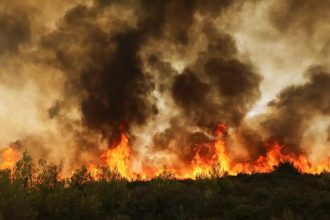 Συναγερμός στο Βαρθολομιό - Πυρκαγιά κοντά στο δάσος των Θινών (ΦΩΤΟ)