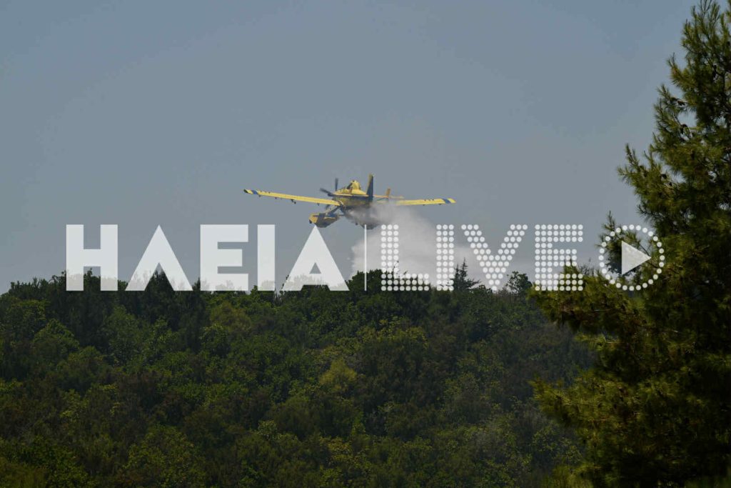 Αρχαία Ολυμπία: Υπό έλεγχο η μεγάλη πυρκαγιά στην Κάμενα - NΕΟΤΕΡΑ (ΦΩΤΟ & ΒΙΝΤΕΟ)