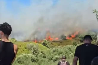 Φωτιά στο Μονολίθι Πρέβεζας - Επιχειρούν 5 εναέρια