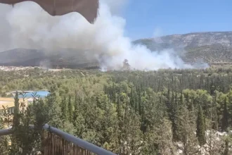 Οριοθετήθηκε η φωτιά στην Πολυτεχνειούπολη - ΝΕΟΤΕΡΑ