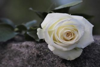 Ν. Τζανάκος: Συλλυπητήρια μηνύματα για την απώλεια του πατέρα του