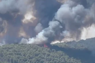 Πυρκαγιά στη Βουρβουρού Χαλκιδικής: Συνελήφθη 45χρονος ύποπτος για εμπρησμό