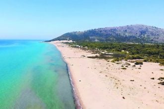 Καλογριά: Ο βασιλιάς πέθανε, οι «τίτλοι» ζουν 