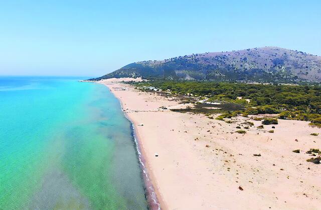 Καλογριά: Ο βασιλιάς πέθανε, οι «τίτλοι» ζουν 
