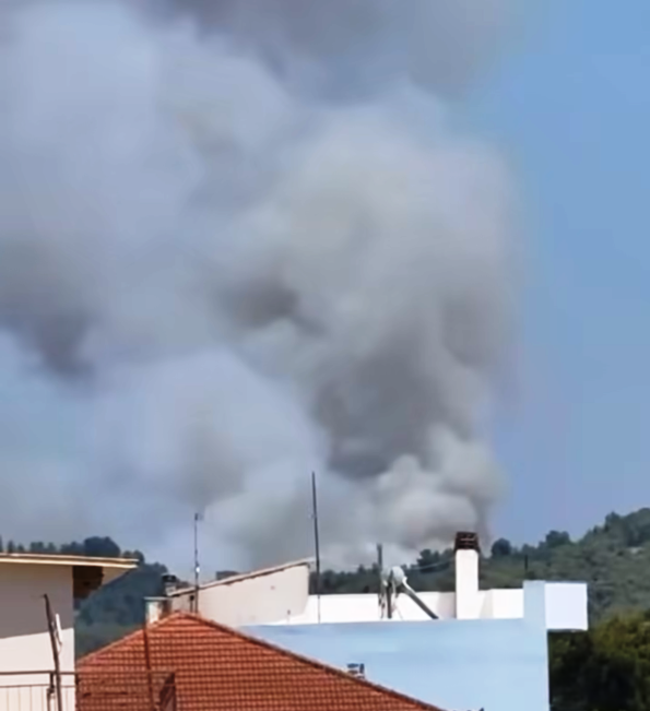 Ηλεία: Οριοθετήθηκε η πυρκαγιά στα Αστεραίικα Αμαλιάδας (ΒΙΝΤΕΟ)