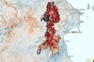 Αυξάνονται οι θερμοκρασίες εδάφους λόγω απώλειας δασικής βλάστησης - Τι κατέγραψε η μονάδα του meteo