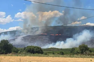 Φωτιά στην Αγιά Λάρισας, σηκώθηκαν έξι εναέρια μέσα - Μήνυμα 112 προς τους κατοίκους