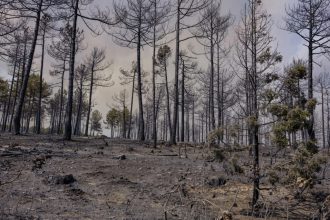 Πορτογαλία: Συναγερμός για τον κίνδυνο πυρκαγιών από σήμερα