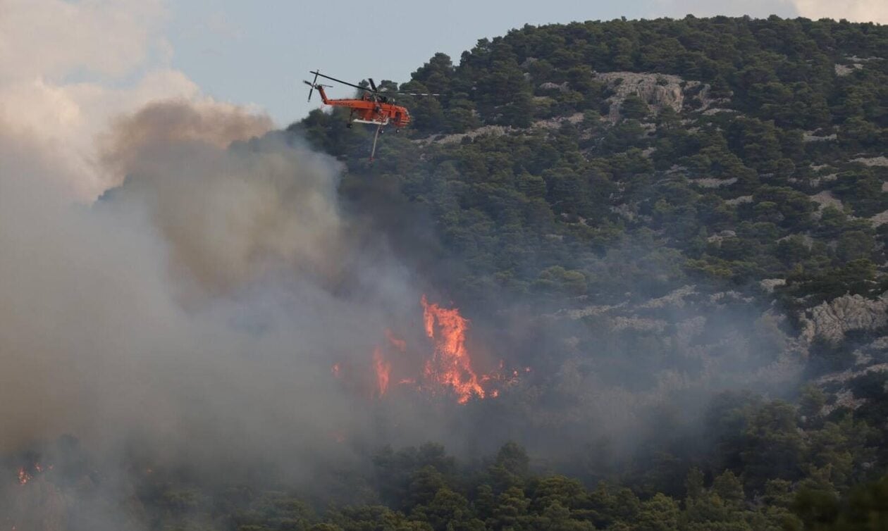 Ηλεία: Ελεύθερη με όρους αφέθηκε η 22χρονη για τους εμπρησμούς