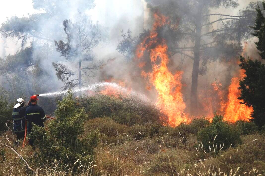 Φωτιά τώρα στην Αγορά Θεσπρωτίας - Σηκώθηκαν 3 εναέρια