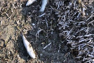 Κοινή ανακοίνωση Αντιπεριφερειάρχη Π.Ε. Αχαΐας και Δημάρχου Δυτικής Αχαΐας για τον ποταμό Πείρο