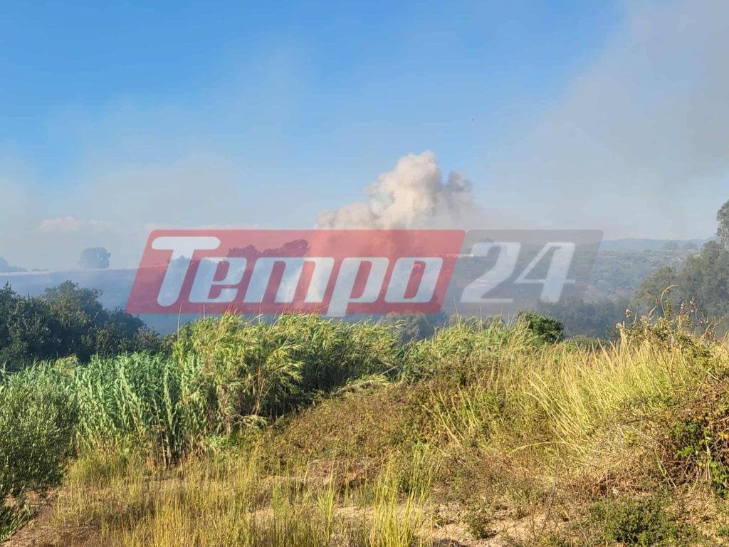 Λεχαινά Ηλείας: Οριοθετήθηκε η πυρκαγιά μετά από μεγάλη μάχη (ΦΩΤΟ - ΒΙΝΤΕΟ)