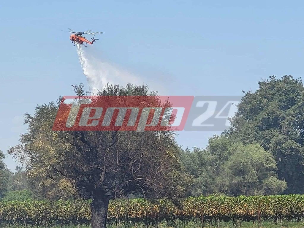 Αχαΐα: "Έπιασαν" τη φωτιά στον Ριόλο οι πυροσβέστες (ΦΩΤΟ) ΝΕΟΤΕΡΑ