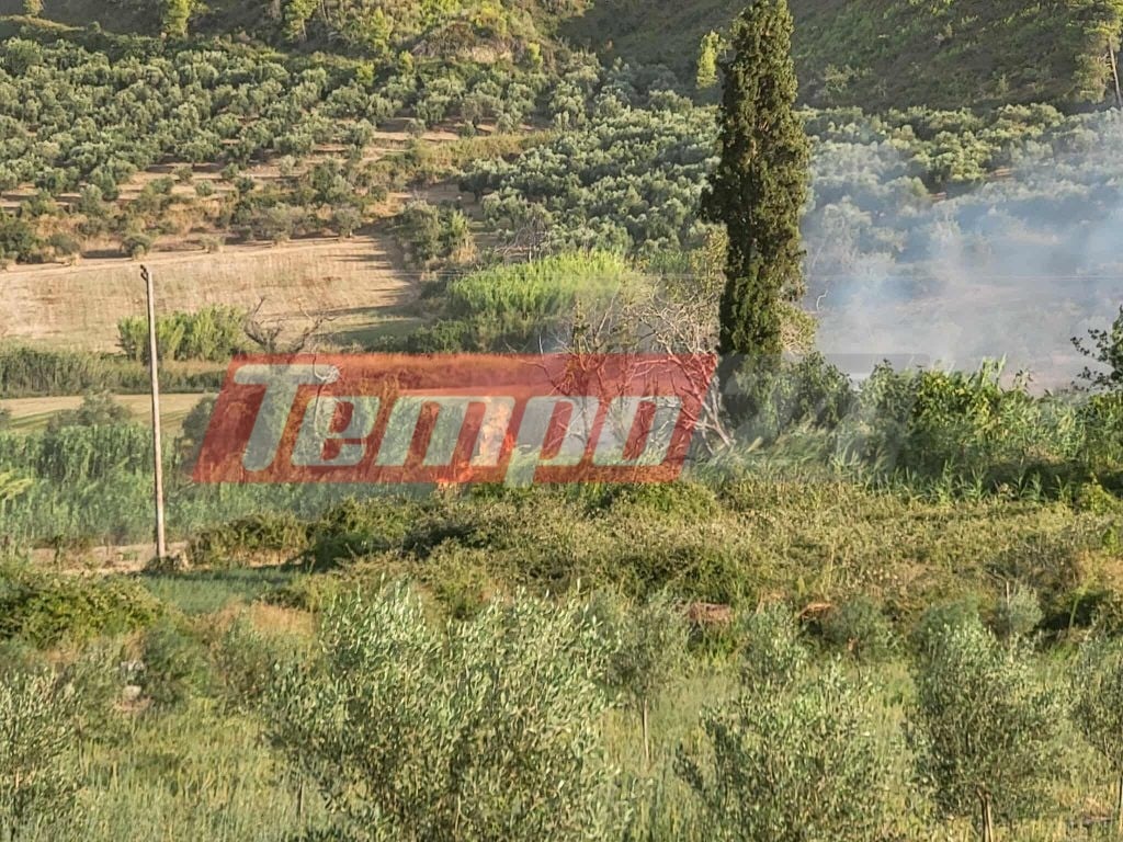 Αρχαία Ολυμπία: Εκτός ελέγχου η φωτιά στο Χελιδόνι - Eπιχειρούν 105 πυροσβέστες, εκκενώνεται η Ηράκλεια (ΦΩΤΟ & ΒΙΝΤΕΟ)
