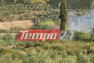 Σε ύφεση οι φωτιές σε Χελιδόνι Ηλείας και Ανατολική Αττική - Μάχη δίνουν οι πυροσβεστικές δυνάμεις με διάσπαρτες εστίες