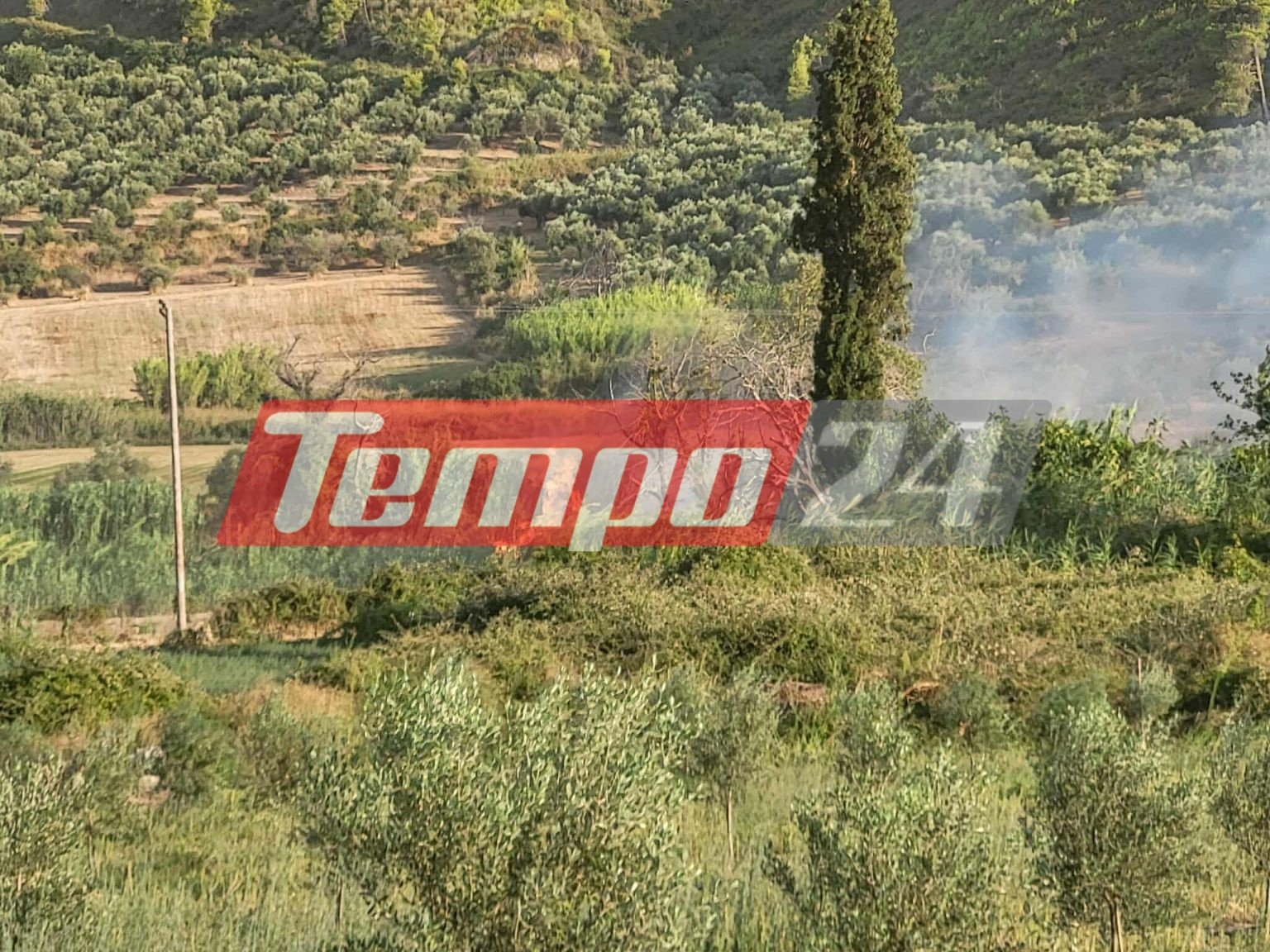 Σε ύφεση οι φωτιές σε Χελιδόνι Ηλείας και Ανατολική Αττική - Μάχη δίνουν οι πυροσβεστικές δυνάμεις με διάσπαρτες εστίες