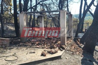 Οδοιπορικό του Tempo24.News στην Αρχαία Ολυμπία: Αποκαρδιωτικές εικόνες μετά τη φωτιά - Σε απόγνωση οι κάτοικοι μετρούν τις πληγές τους (ΦΩΤΟ)