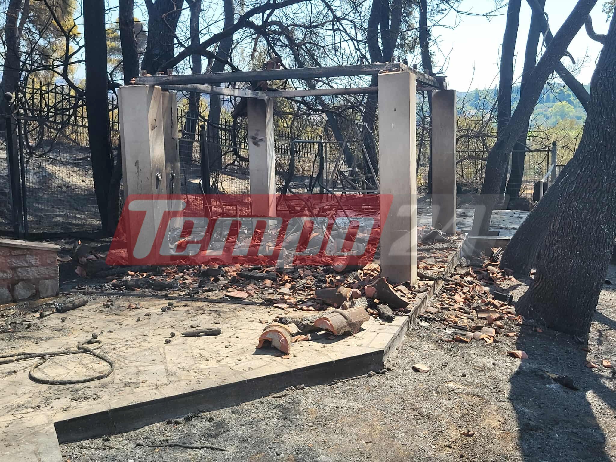 Οδοιπορικό του Tempo24.News στην Αρχαία Ολυμπία: Αποκαρδιωτικές εικόνες μετά τη φωτιά - Σε απόγνωση οι κάτοικοι μετρούν τις πληγές τους (ΦΩΤΟ)