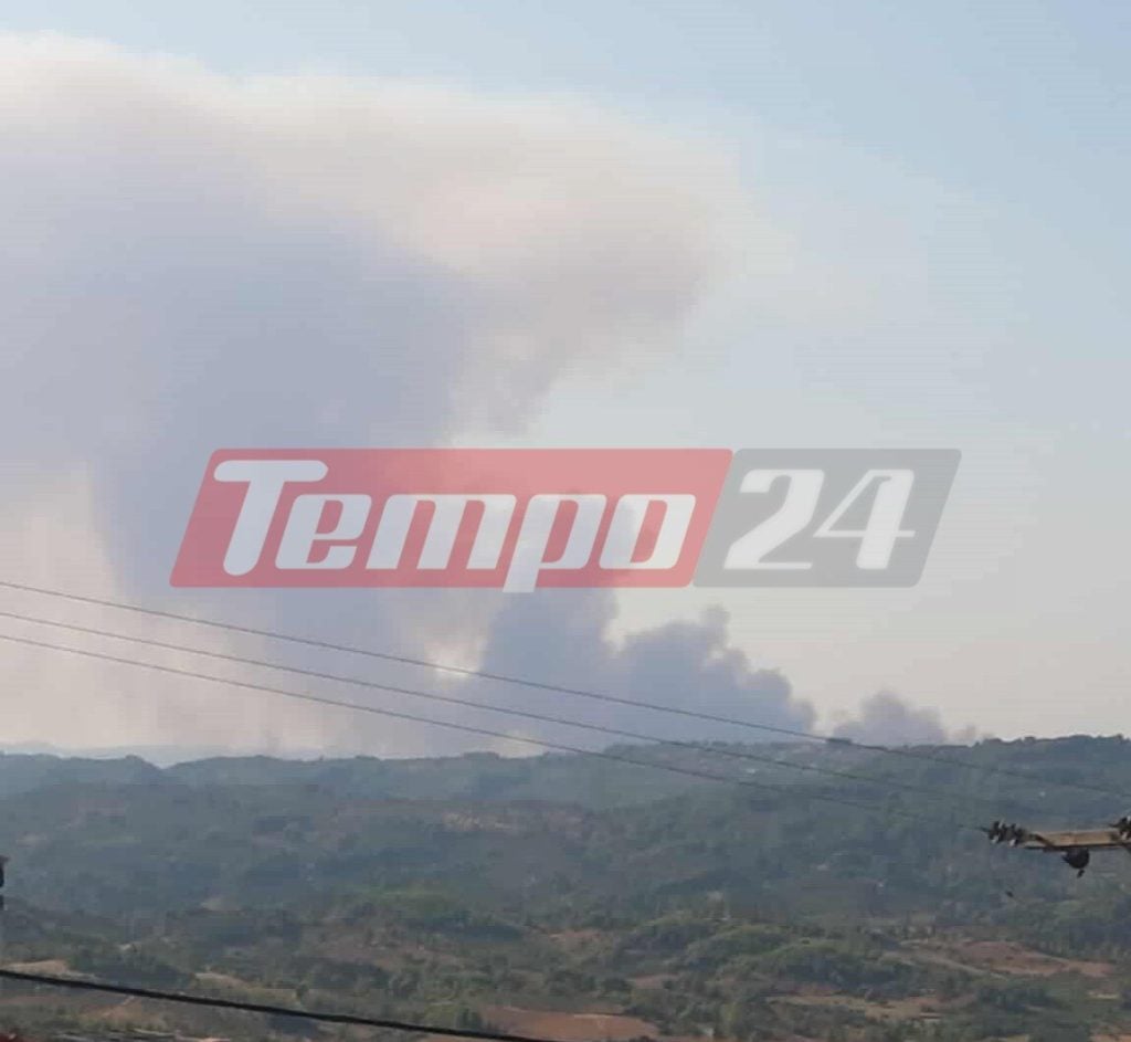 Αρχαία Ολυμπία: Εκτός ελέγχου η φωτιά στο Χελιδόνι - Eπιχειρούν 105 πυροσβέστες, εκκενώνεται η Ηράκλεια (ΦΩΤΟ & ΒΙΝΤΕΟ)