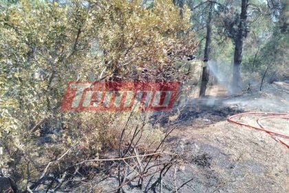 Πάτρα: Φωτιά στα Βραχνέικα - ΦΩΤΟ