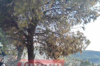 Βραχνέικα: Τρέχει... στα καρτ ασταμάτητα η Πυροσβεστική (ΦΩΤΟ)