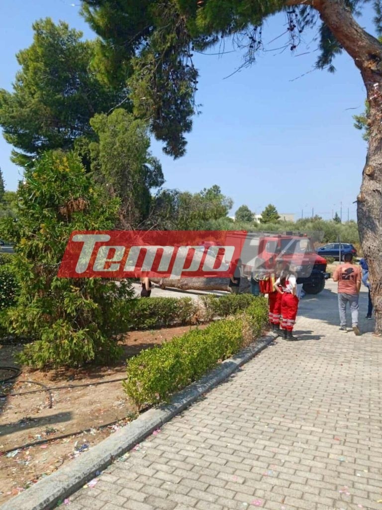 Πάτρα: Δέντρο έπεσε έξω από το Συνεδριακό Κέντρο του Πανεπιστημίου την ώρα της ορκωμοσίας φοιτητών (ΦΩΤΟ)