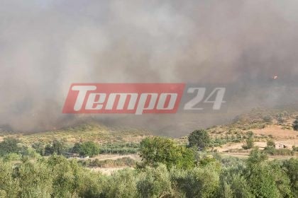 Αρχαία Ολυμπία: Φωτιά στο Χελιδόνι - Μήνυμα από το 112, ένας εγκαυματίας (ΦΩΤΟ & ΒΙΝΤΕΟ)