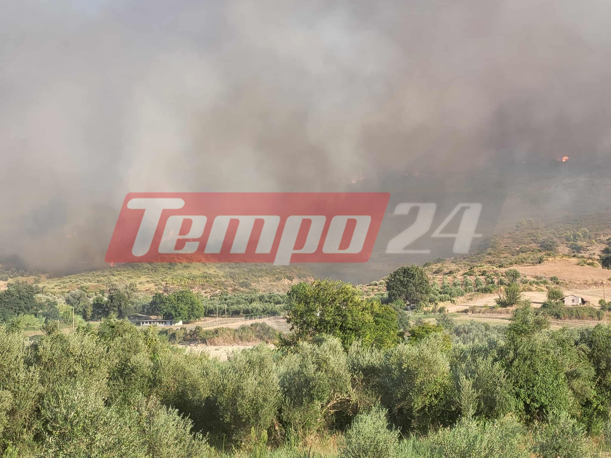 Αρχαία Ολυμπία: Εκτός ελέγχου η φωτιά στο Χελιδόνι - Eπιχειρούν 105 πυροσβέστες, εκκενώνεται η Ηράκλεια (ΦΩΤΟ & ΒΙΝΤΕΟ)