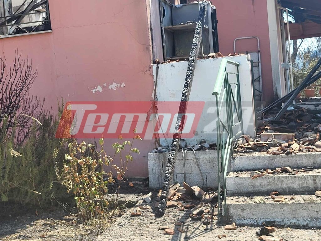Οδοιπορικό του Tempo24.News στην Αρχαία Ολυμπία: Αποκαρδιωτικές εικόνες μετά τη φωτιά - Σε απόγνωση οι κάτοικοι μετρούν τις πληγές τους (ΦΩΤΟ)