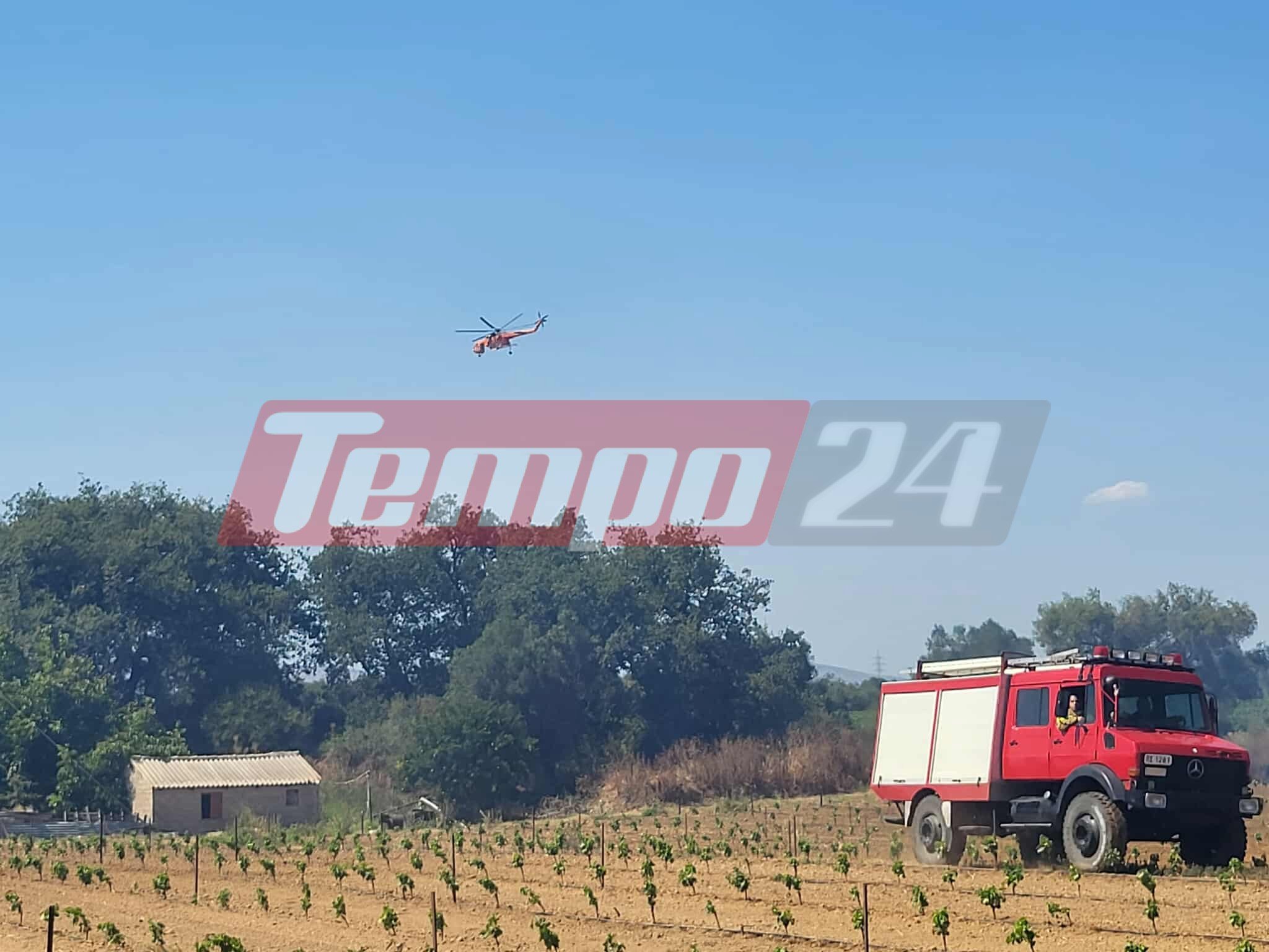 Αχαΐα: "Έπιασαν" τη φωτιά στον Ριόλο οι πυροσβέστες (ΦΩΤΟ) ΝΕΟΤΕΡΑ