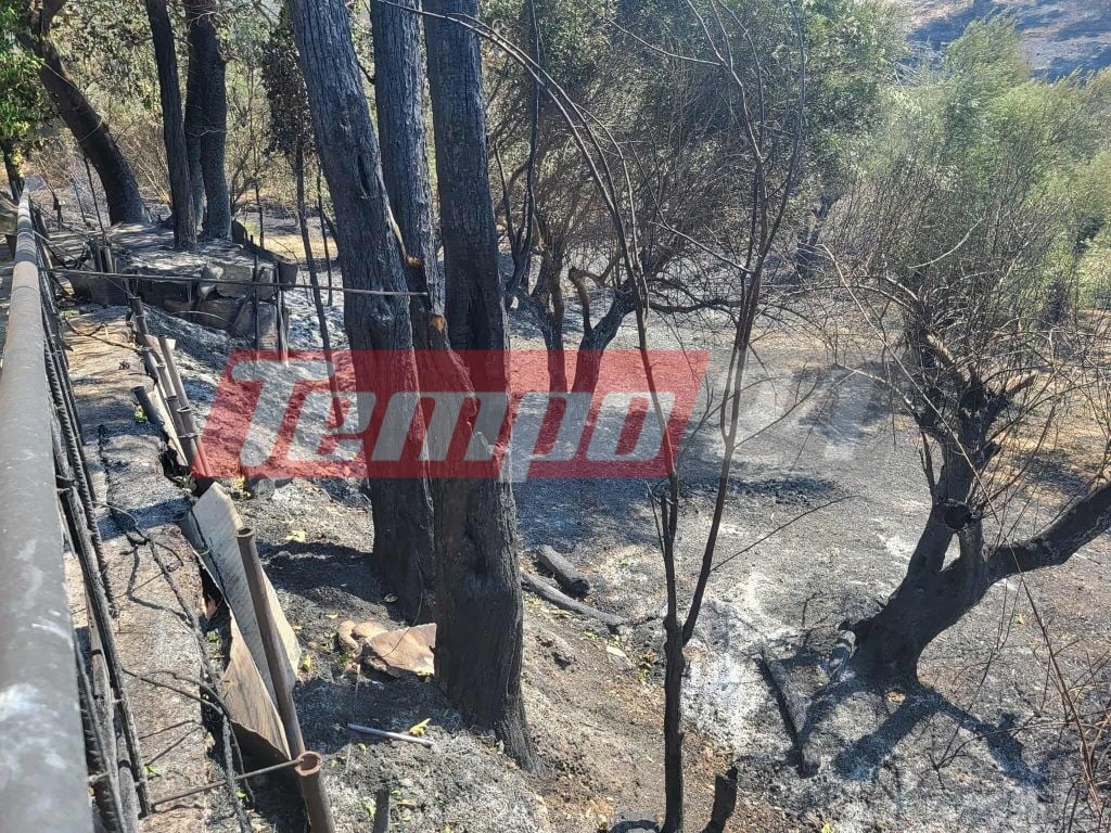 Οδοιπορικό του Tempo24.News στην Αρχαία Ολυμπία: Αποκαρδιωτικές εικόνες μετά τη φωτιά - Σε απόγνωση οι κάτοικοι μετρούν τις πληγές τους (ΦΩΤΟ)