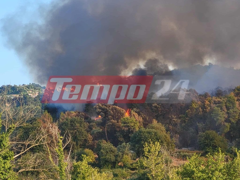 Ηλεία: Αναζωπυρώθηκε η φωτιά στο Χελιδόνι - Μάχη με τις διάσπαρτες εστίες (ΦΩΤΟ - ΒΙΝΤΕΟ)
