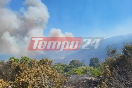 Φωτιές σε Κεφαλονιά, Φωκίδα, Βόνιτσα, Ζάκυνθο, Πρέβεζα και Άρτα - Απανωτά 112 για εκκενώσεις οικισμών (ΦΩΤΟ & BINTΕΟ)