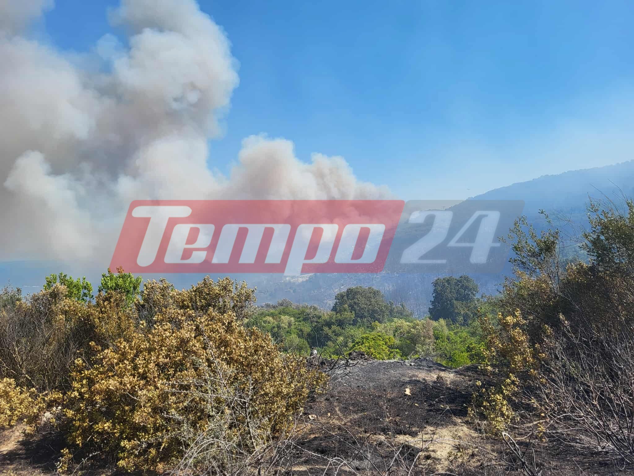 Φωτιές σε Κεφαλονιά, Φωκίδα, Βόνιτσα, Ζάκυνθο, Πρέβεζα και Άρτα - Απανωτά 112 για εκκενώσεις οικισμών (ΦΩΤΟ & BINTΕΟ)