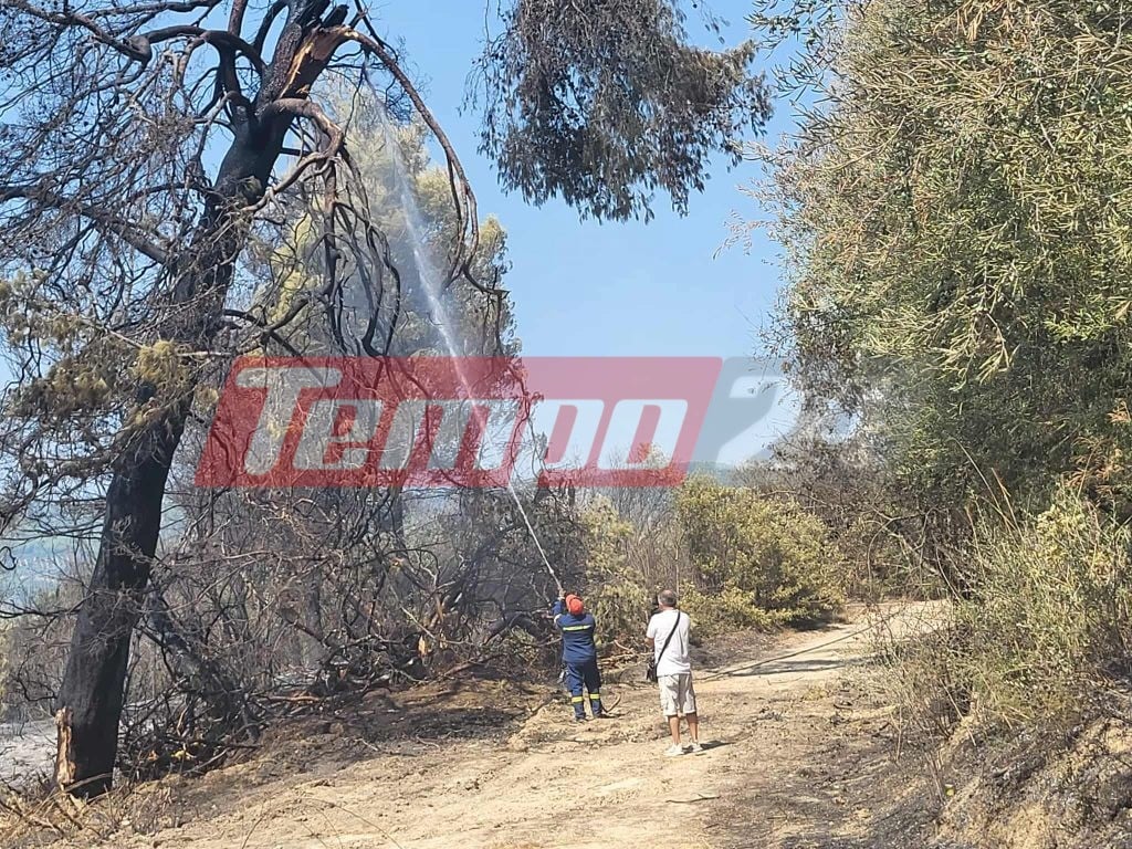 Οδοιπορικό του Tempo24.News στην Αρχαία Ολυμπία: Αποκαρδιωτικές εικόνες μετά τη φωτιά - Σε απόγνωση οι κάτοικοι μετρούν τις πληγές τους (ΦΩΤΟ)