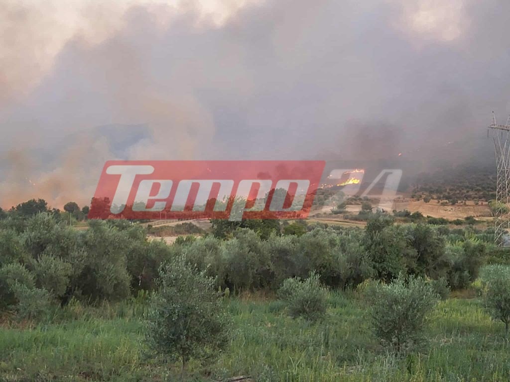 Αρχαία Ολυμπία: Εκτός ελέγχου η φωτιά στο Χελιδόνι - Eπιχειρούν 105 πυροσβέστες, εκκενώνεται η Ηράκλεια (ΦΩΤΟ & ΒΙΝΤΕΟ)