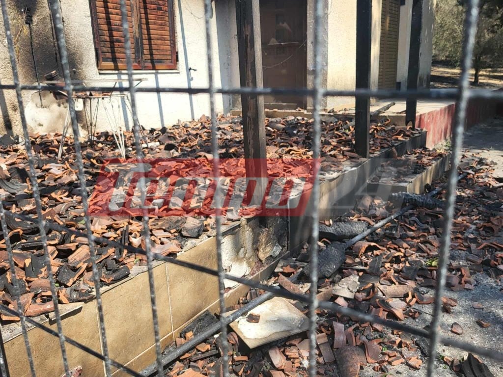 Οδοιπορικό του Tempo24.News στην Αρχαία Ολυμπία: Αποκαρδιωτικές εικόνες μετά τη φωτιά - Σε απόγνωση οι κάτοικοι μετρούν τις πληγές τους (ΦΩΤΟ)