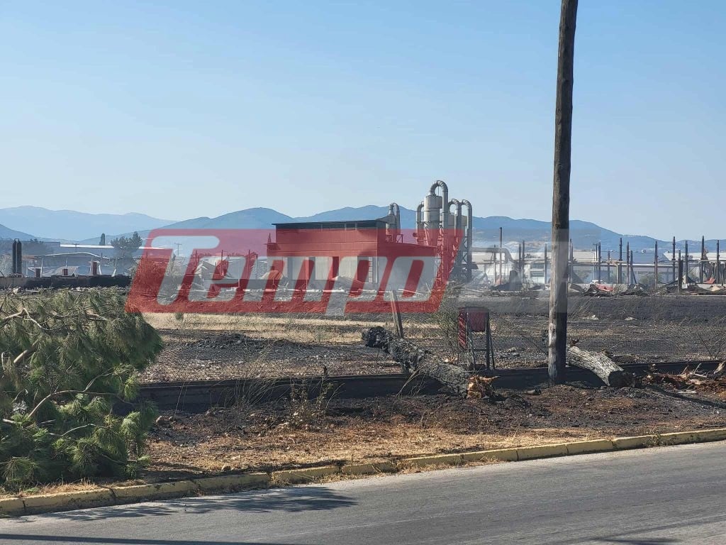 Δυτική Αχαΐα: Τεράστιες καταστροφές από την πύρινη κόλαση - Βελτιωμένη η εικόνα της φωτιάς (ΦΩΤΟ)