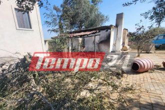 Αχαΐα: Στις πυρόπληκτες περιοχές το ΤΕΕ Δυτικής Ελλάδας και ο Πρόεδρος του ΓΕΩΤΕΕ