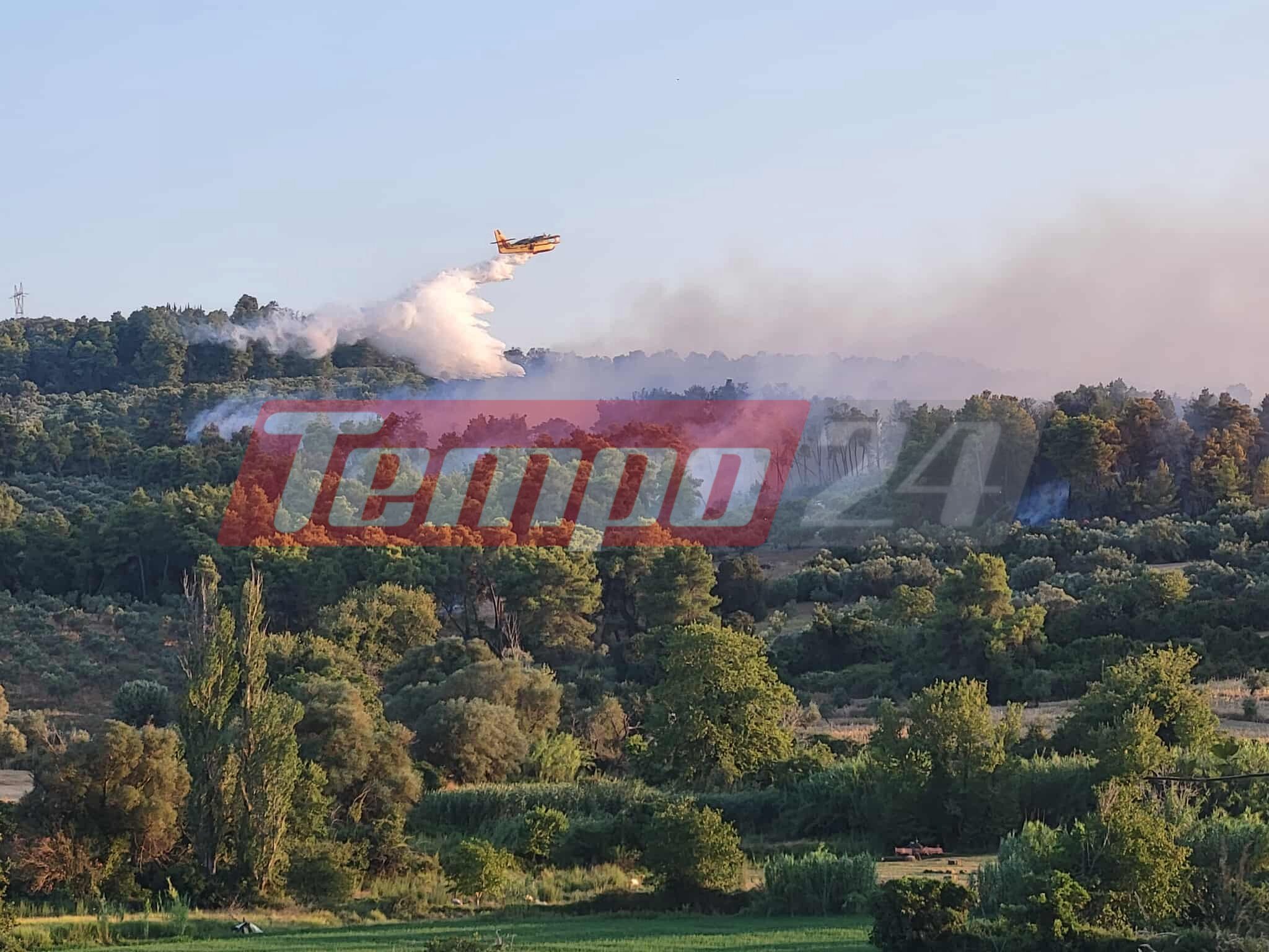 Ηλεία: Αναζωπυρώθηκε η φωτιά στο Χελιδόνι - Μάχη με τις διάσπαρτες εστίες (ΦΩΤΟ - ΒΙΝΤΕΟ)