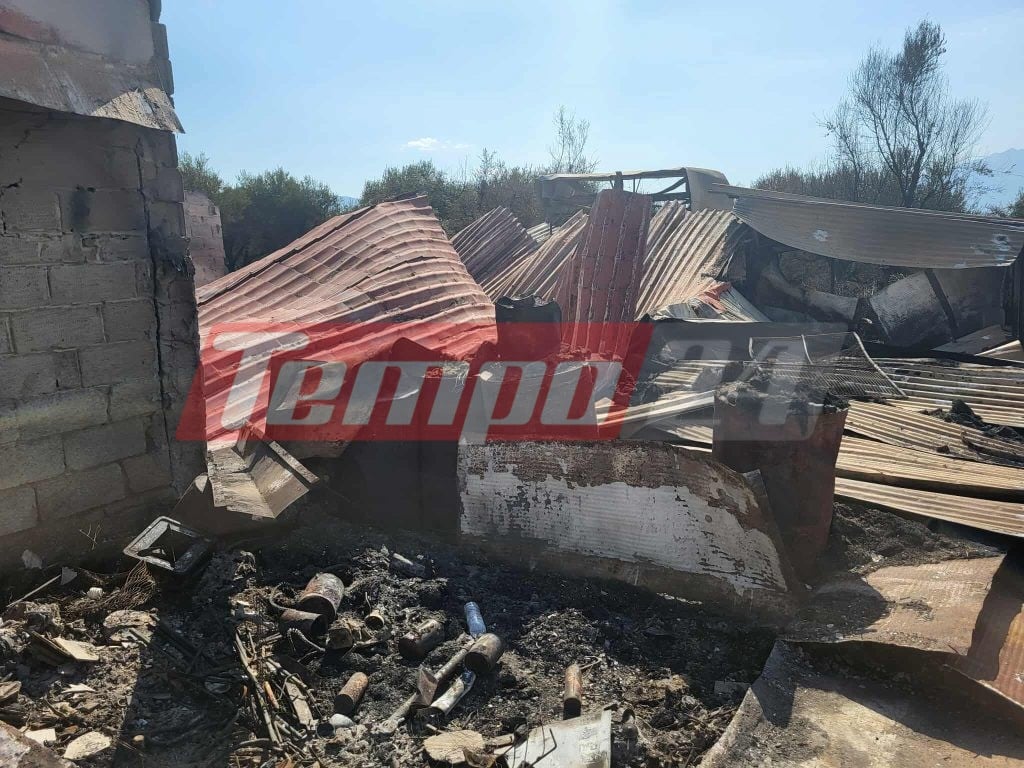 Αποκαρδιωτικές εικόνες αποκαλύπτουν το μέγεθος της καταστροφικής φωτιάς στην Αχαΐα (ΦΩΤΟ)