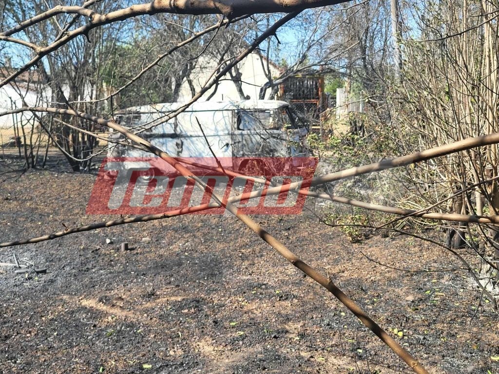 Δυτική Αχαΐα: Τεράστιες καταστροφές από την πύρινη κόλαση - Βελτιωμένη η εικόνα της φωτιάς (ΦΩΤΟ)
